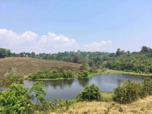 Le Parc Naturel de Khao Yai 