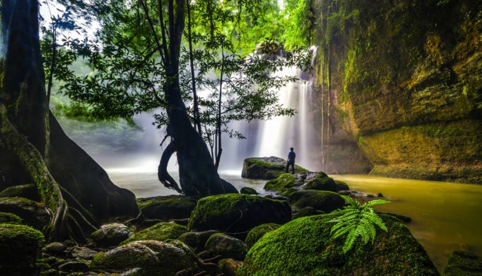 La visite du parc de Khao Yai – les choses à voir La visite du parc de Khao Yai – les choses à voir