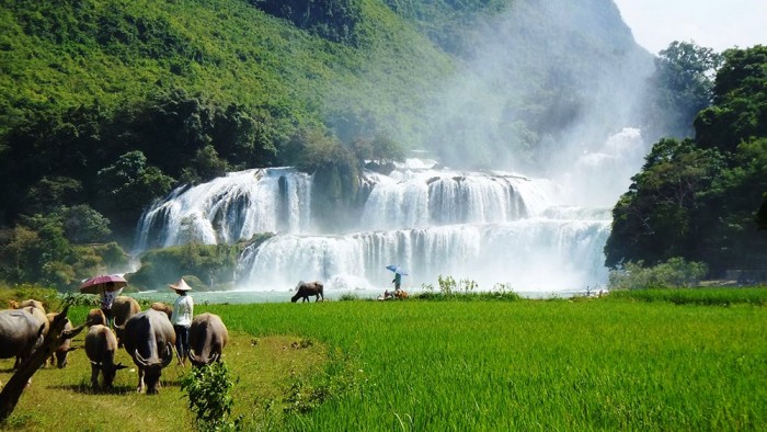 Les magnifiques chutes de Ban Giôc Detian au Vietnam