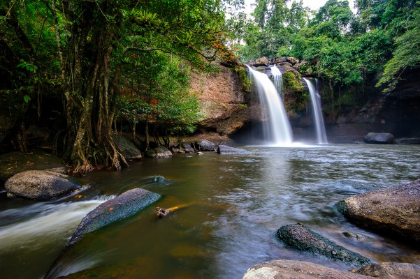 Le parc national de Khao Yai en Thaïlande