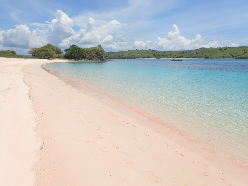 La plage rose de Florès, au large de Komodo en Indonésie