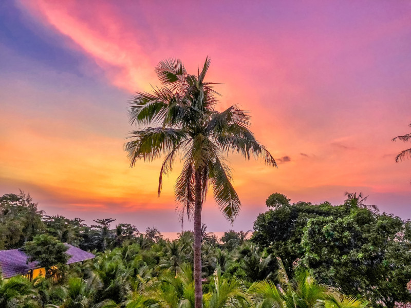 L'Île de Phu Quoc devient un modèle de développement durable