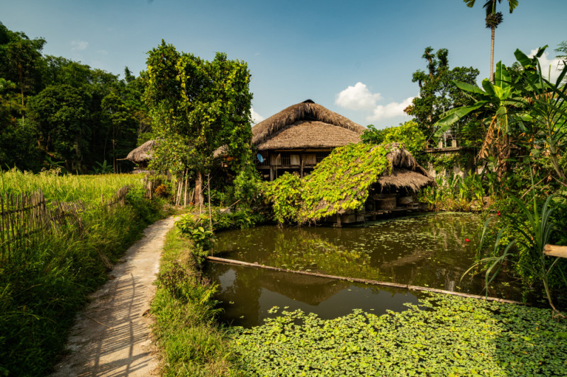 Rencontre chez les habitants du nord Thaïlande, la région la plus préservée