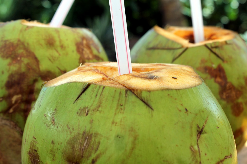 Acheter de l'eau de coco fraîche pour vous désaltérer