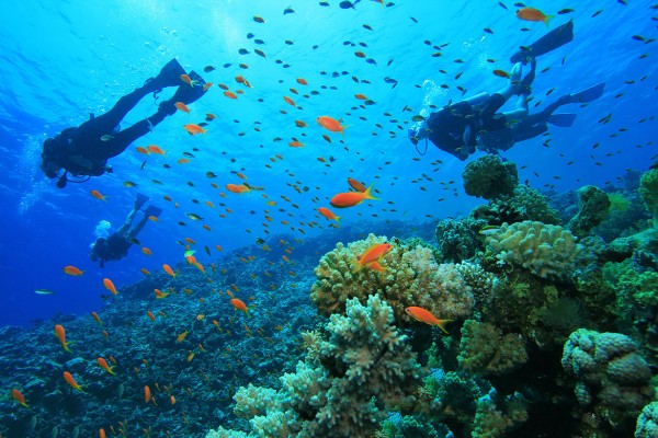 Où faire son baptême de plongée en Thaïlande ? Les meilleurs clubs avec moniteur francophone