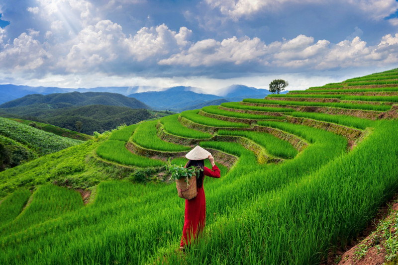 Au Vietnam, Sapa