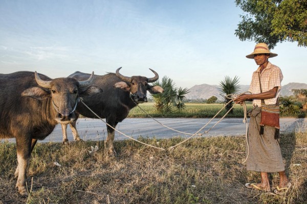 Le Longyi, vêtement traditionnel Birman