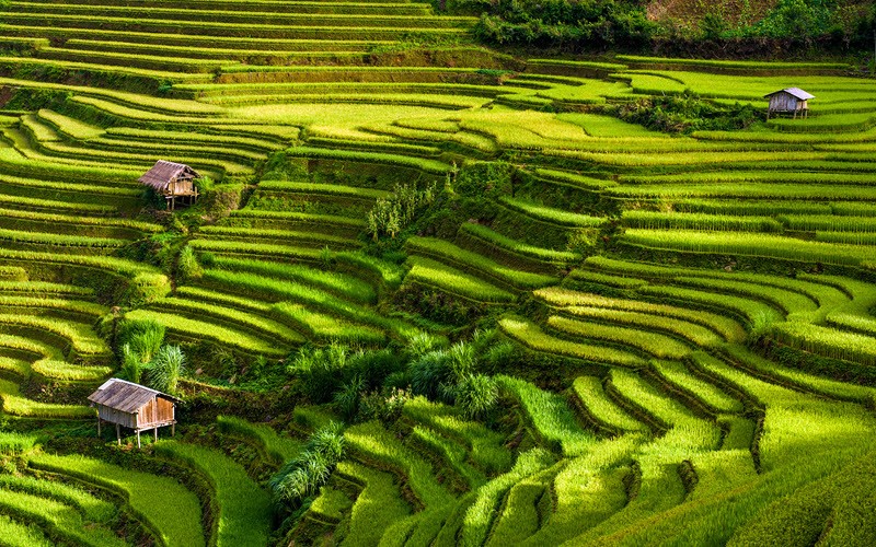 Vietnam : Top 10 des Incontournables