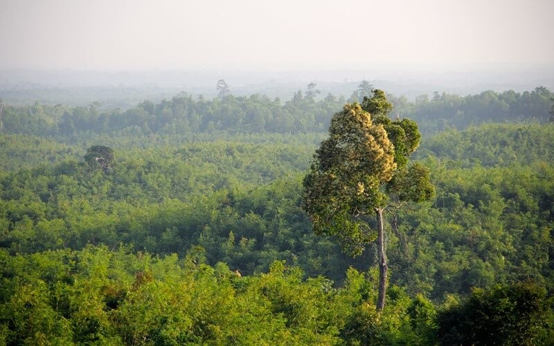 10. Eco-tourisme et Tourisme communautaire 10. Eco-tourisme et Tourisme communautaire