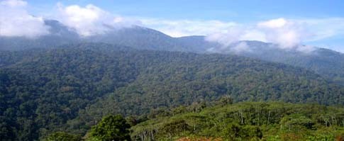 Camper au parc naturel de Gunung Leuser Camper au parc naturel de Gunung Leuser