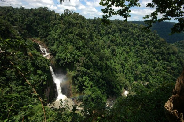 Comment se rendre au parc de Khao Yai 