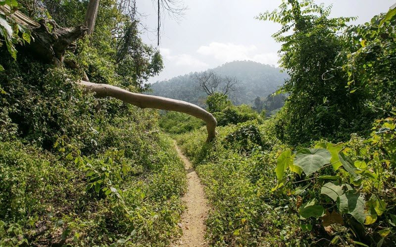 Que faire dans la région de Koh Kong au Cambodge ?