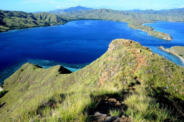 Faire le parc National de Komodo 