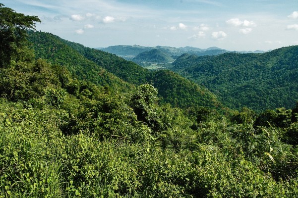Khao Yai en Thaïlande : le guide pour un week-end dans le parc naturel