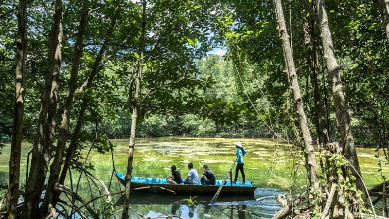 Les plonger en pleine nature dans la mangrove de Can Gio, au coeur du delta du Mékong