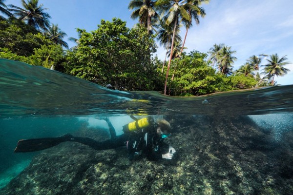 Faire de la plongée sous-marine 