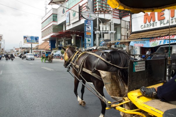 Yogyakarta