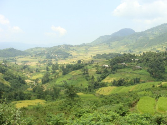 Lao Cai