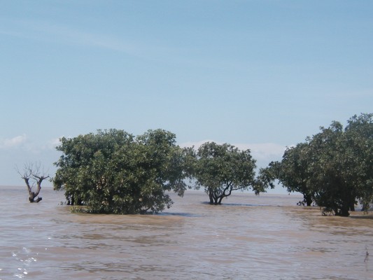 Tonle Sap