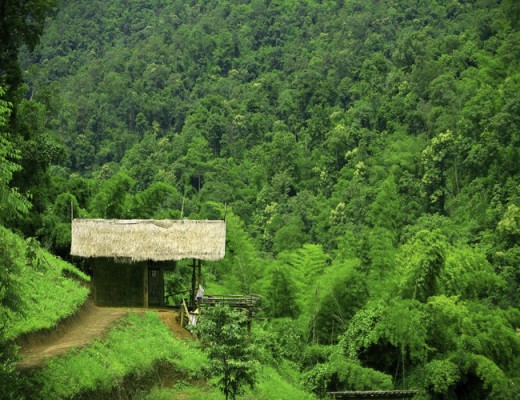 Mae Kampong