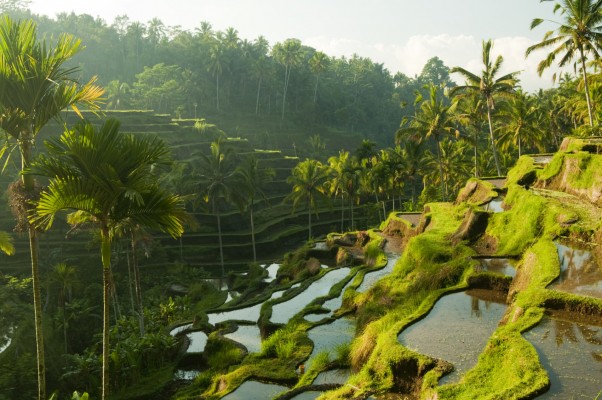 Bali