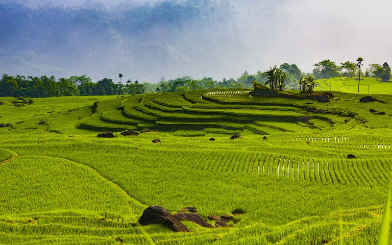 Réserve naturelle de Pu Luong