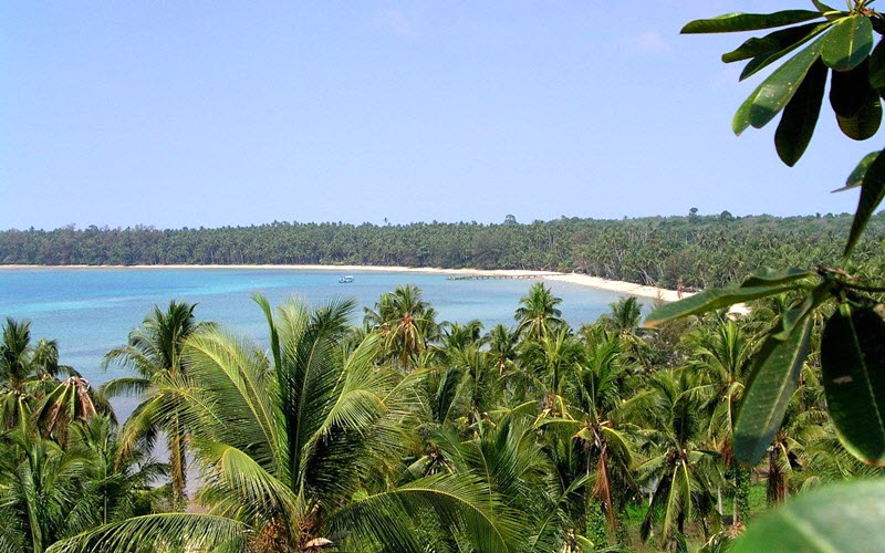 vue sur une baie de Koh Mak avec palmiers