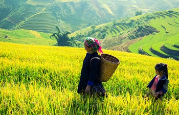 Voyages en Vietnam