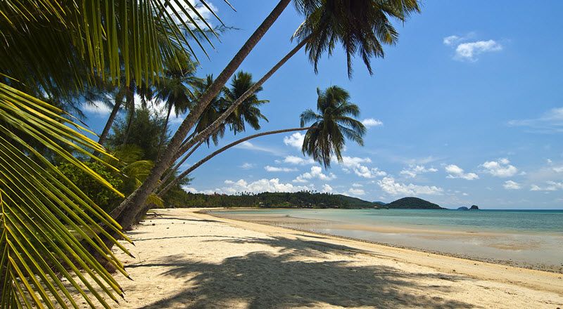 plage de ao suan yai avec cocotier a koh mak