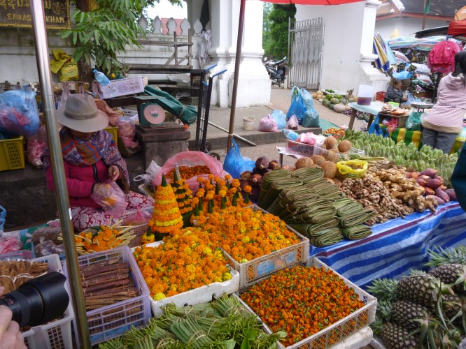 Avis voyage Laos - janvier 2018