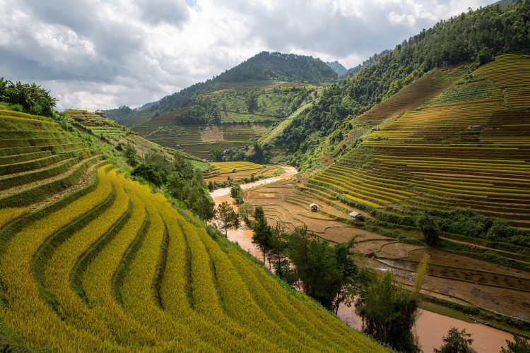 Avis de Anonyme - Voyage Vietnam