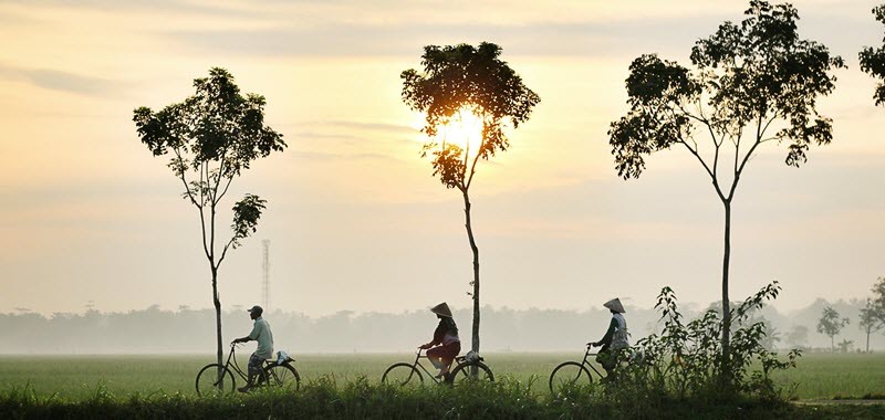 Jour 3 : Promenade à vélo de pagode en pagode