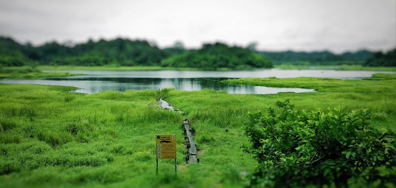 Jour 7 : Le parc national de Cat Tien