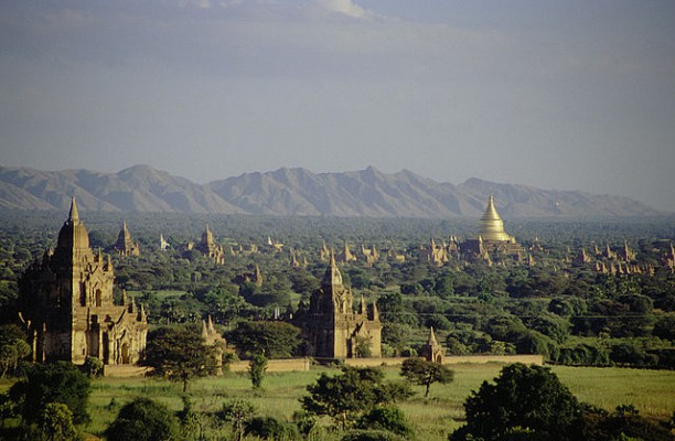 Jour 9 - Bagan : Des arbres dans une forêt de temples