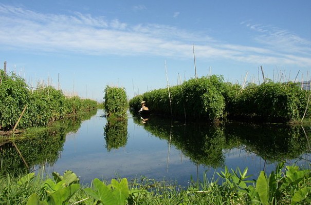 Jour 11 - Nyaung Shwe : Les jardins flottants