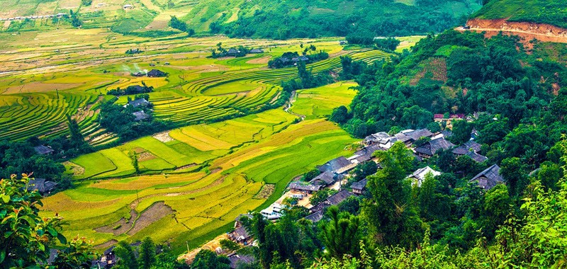 Jour 2 : Nghia Lo, la grande plaine de rizières du Nord Vietnam