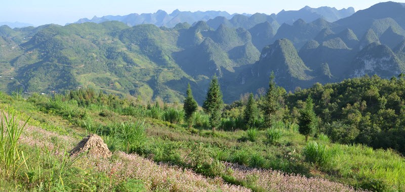 Jour 7 : Le parc géologique de Dong Van