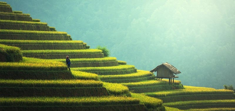 Jour 3 : Les rizières en Terrasse de Sapa