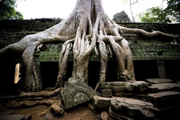 Jour 11 - Preah Vihear – Koh Ker – Beng Mealea – Siem Reap (160km – 3h30)