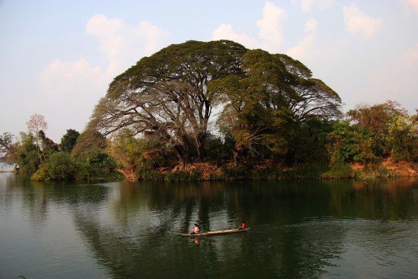 Jour 6 - Vientiane – Pakse – Plateau Des Bolovens (Vol) Pakse 