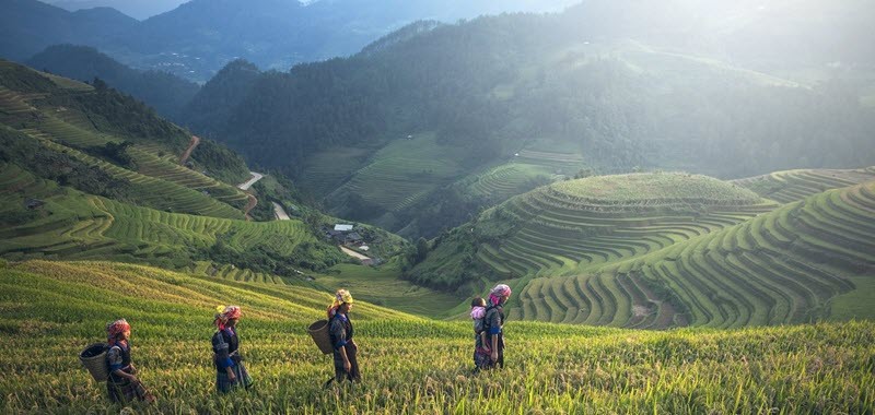 Jour 3 : Le marché des minorités ethniques de Sapa