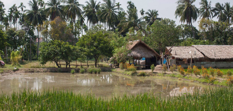 Jour 2 : De Amphawa à Suan Sampran