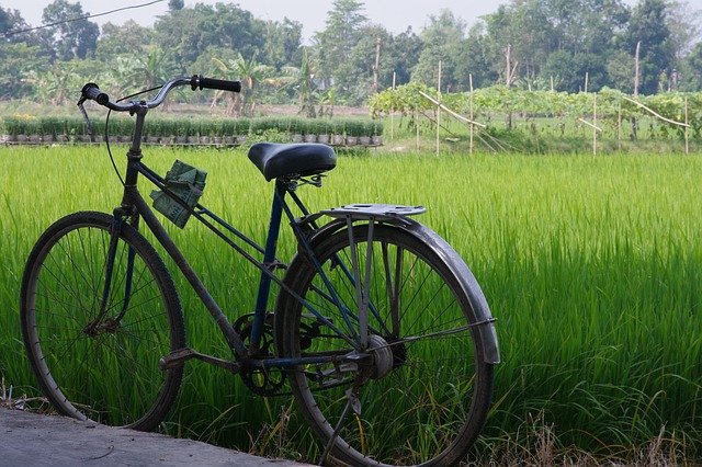 Jour 6 : LUNDI – Balade à vélo dans les rizières et visite du site de Sukhothai