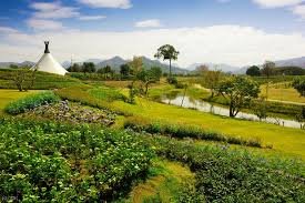 Jour 3 : KHAO YAI – DÉCOUVERTE D’UN VIGNOBLE (P.dej/Dej/-)