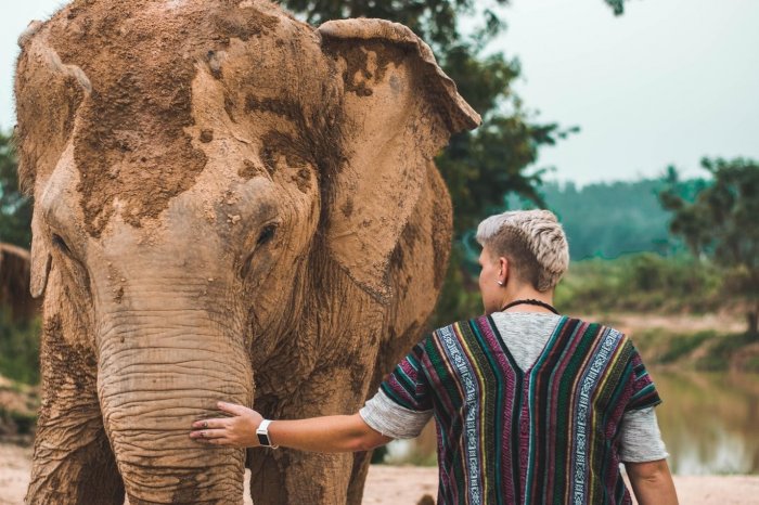 Jour 6 : KANCHANABURI – RENCONTRE AVEC LES ELEPHANTS (P.dej/Dej/-)