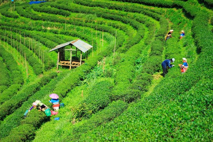 Jour 3 : MAE HONG SON – MAE SARIANG (P.déj/Dej/Din)