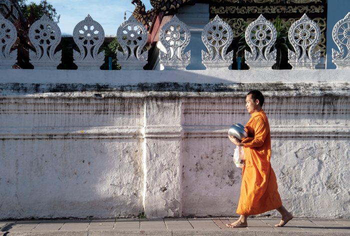 Jour 10 : CHIANG MAI DANS LA NATURE (P.déj/Dej/-)