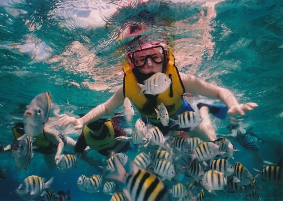Jour 7 - L’île de Menjangan : Le paradis du snorkeling