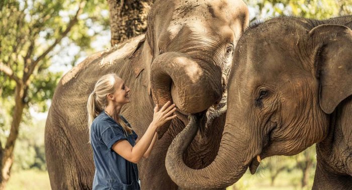 Jour 6 : KANCHANABURI – RENCONTRE AVEC LES ELEPHANTS (P.dej/Dej/-)