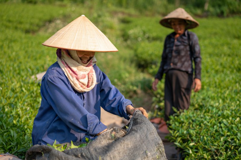 Jour 8 - Dong Van - Meo Vac - Bao Lac